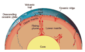 Single convection in mantle convection