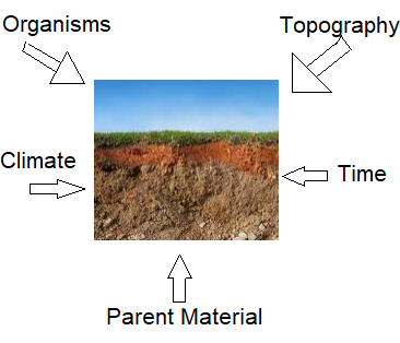 Soil Formation