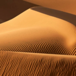 Sand Dunes and different types of Sand Dunes
