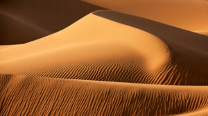 Sand Dunes and different types of Sand Dunes