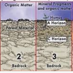 Soil formation in different climatic regions