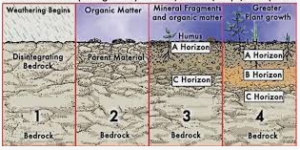 Soil formation in different climatic regions