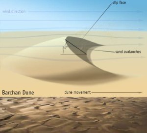 Sand Dunes and different types of Sand Dunes