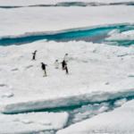 Introduction to Glaciers, Types of Glaciers.