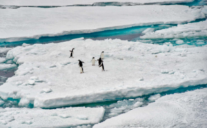 Introduction to Glaciers, Types of Glaciers.