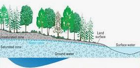 Erosional Features of the Groundwater