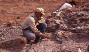 Importance of fieldwork in geomorphological studies
