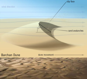 Introduction to Sand Dunes| What are their different types