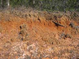 What are different types of Soils