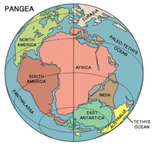 Pangea broke apart due to plate tectonics. Around 200 million years ago, powerful magma upwellings beneath the Earth's crust caused massive fissures. These cracks forced the supercontinent to split into two landmasses: Laurasia (North America and Eurasia) in the north, and Gondwana (South America, Africa, India, Antarctica, and Australia) in the south.